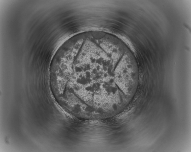 X0000096470903200802211147