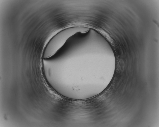 X0000096470904200802211147