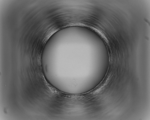 X0000096470905200802211147