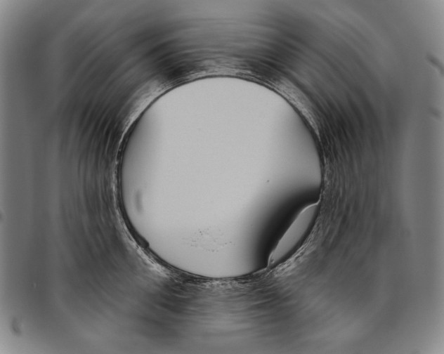 X0000096470906200802211147