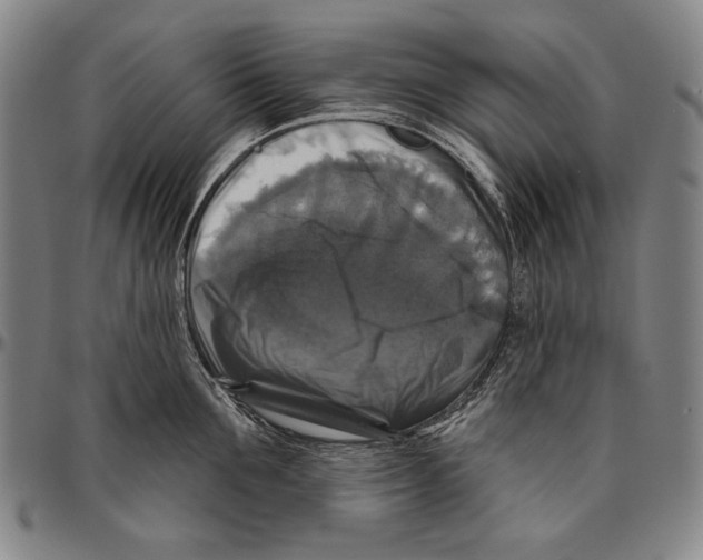 X0000096470907200802211147