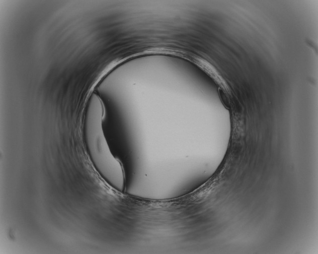 X0000096470908200802211147