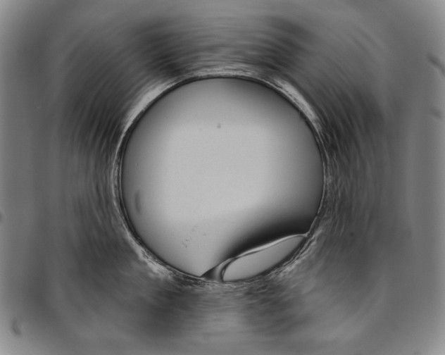 X0000096470909200802211147