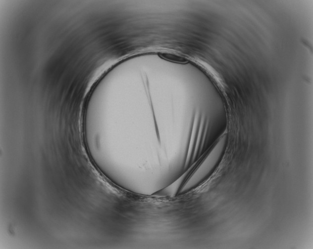 X0000096470910200802211147