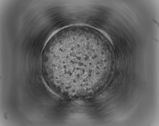 X0000096470911200802211147