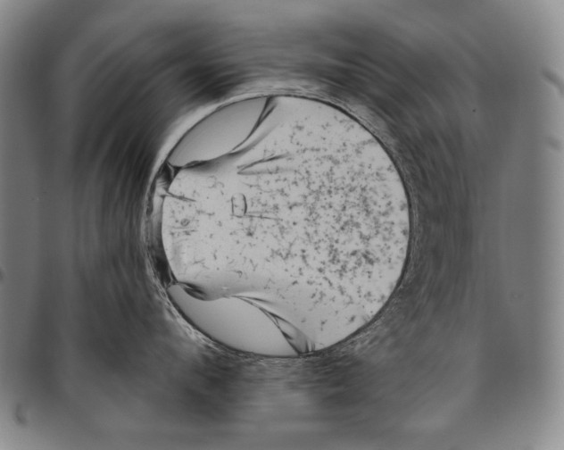 X0000096470912200802211147