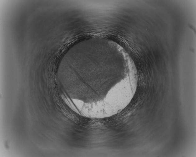 X0000096470913200802211146