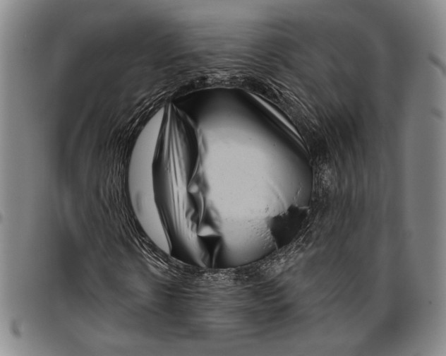 X0000096470914200802211146