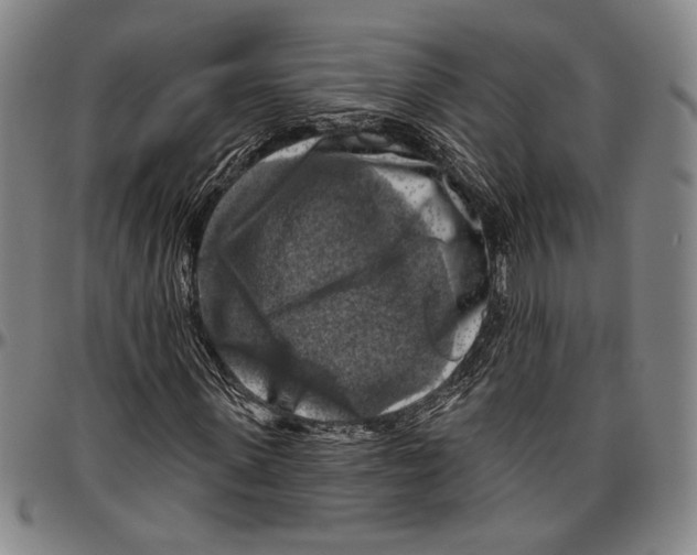 X0000096470915200802211146