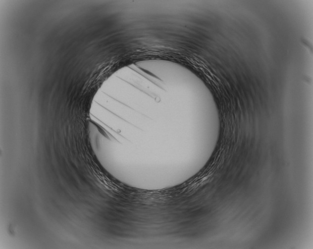 X0000096470916200802211146