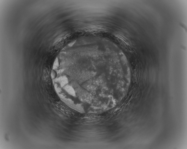 X0000096470917200802211146