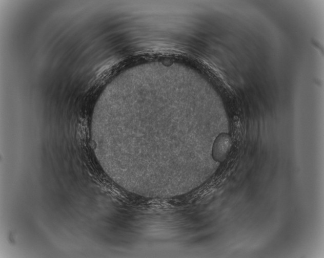 X0000096470918200802211146