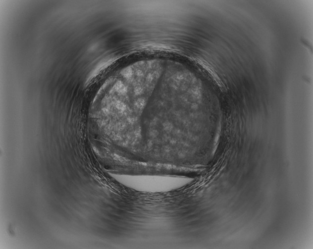 X0000096470919200802211146