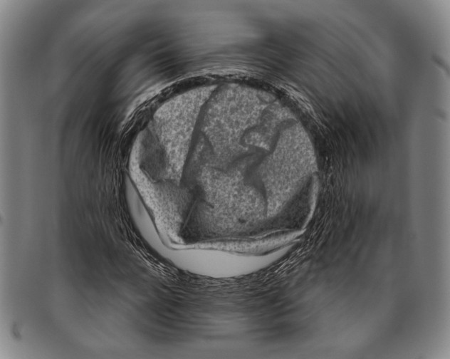 X0000096470920200802211146