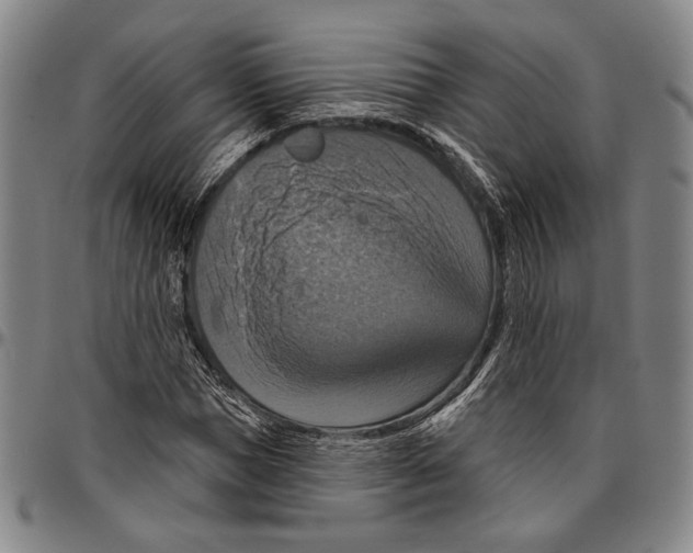 X0000096470921200802211147