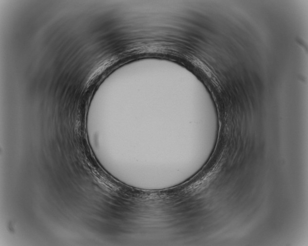 X0000096470922200802211147