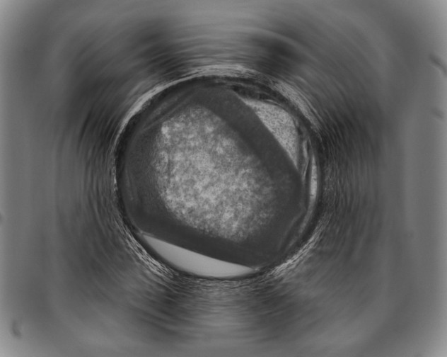 X0000096470923200802211147