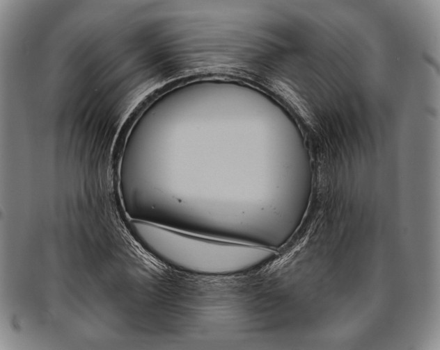 X0000096470924200802211147