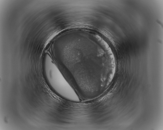 X0000096470925200802211147