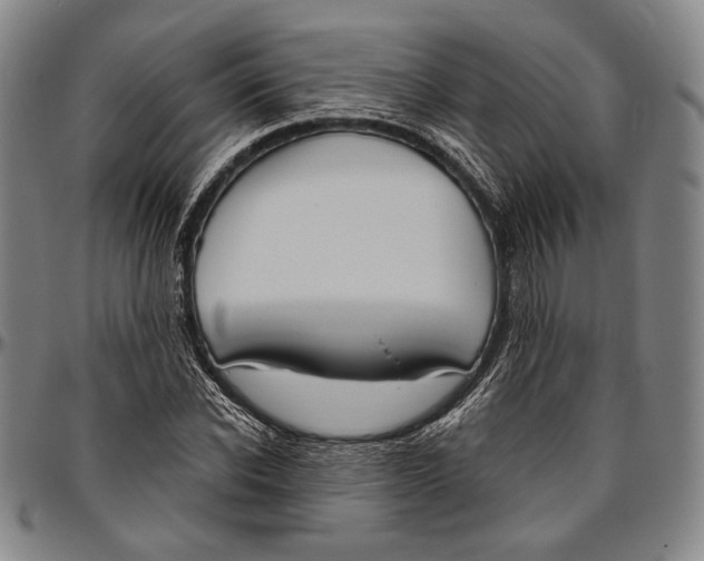 X0000096470926200802211147