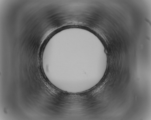 X0000096470927200802211147