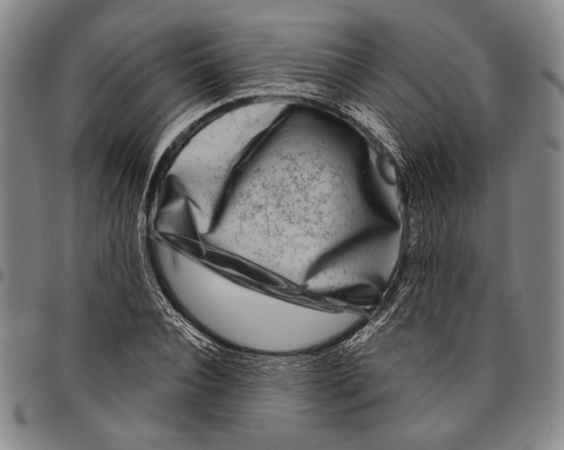 X0000096470928200802211147