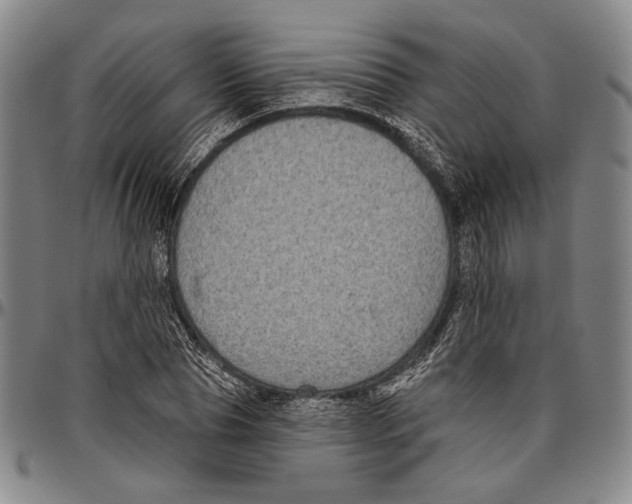 X0000096470929200802211147