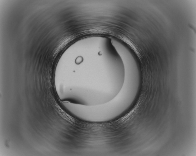 X0000096470930200802211147