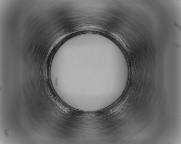 X0000096470931200802211147