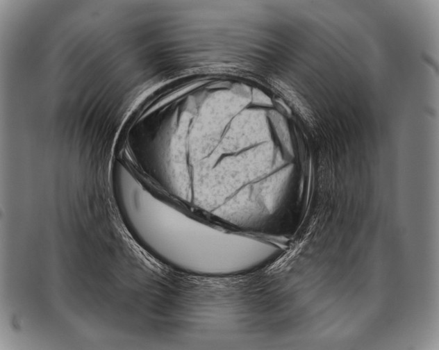 X0000096470932200802211147