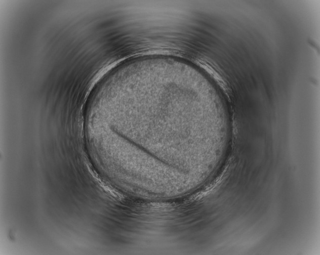 X0000096470933200802211147