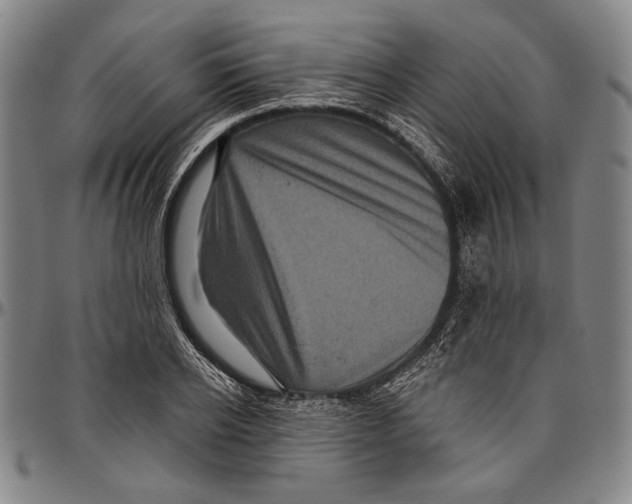 X0000096470934200802211147