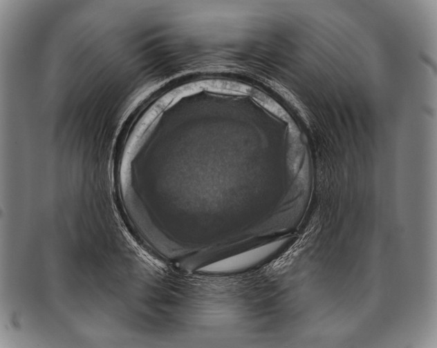 X0000096470935200802211147