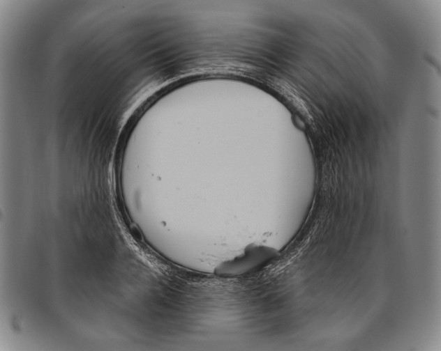 X0000096470936200802211147