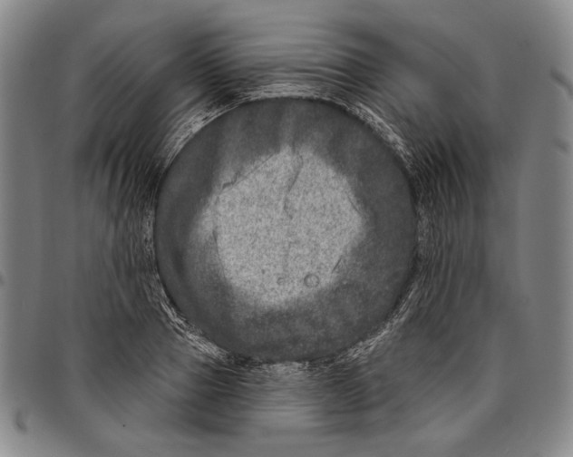 X0000096470937200802211147