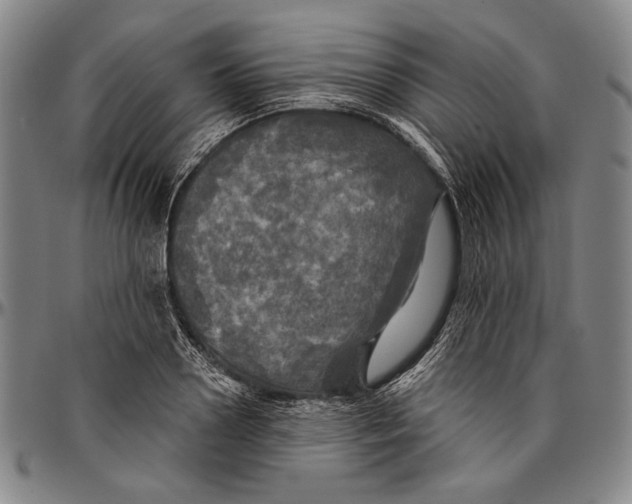 X0000096470938200802211147