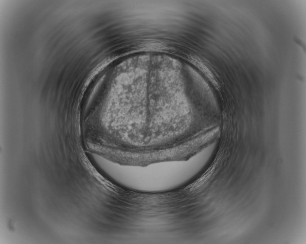 X0000096470939200802211147