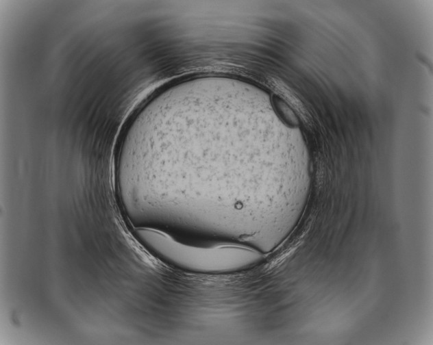 X0000096470940200802211147