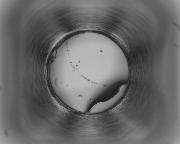 X0000096470942200802211147