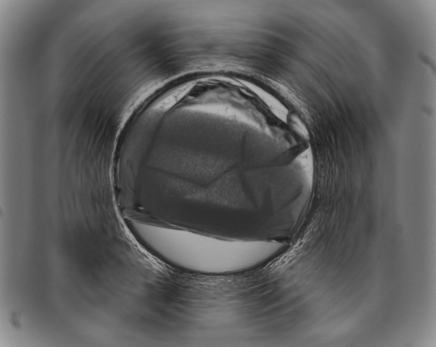 X0000096470943200802211147