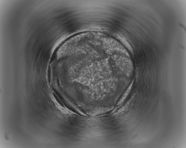 X0000096470944200802211147