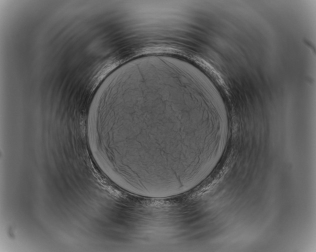 X0000096470945200802211147