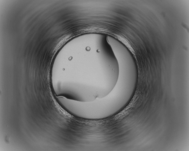 X0000096470946200802211147