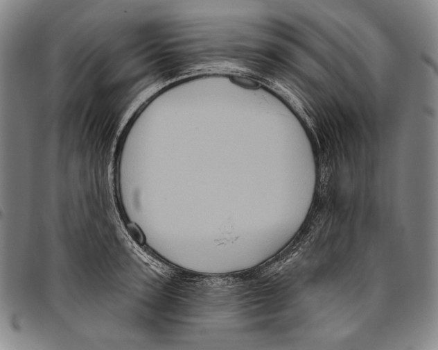 X0000096470947200802211147