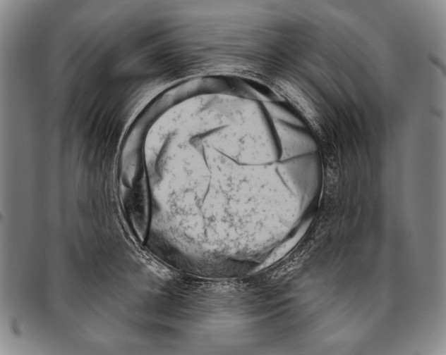 X0000096470948200802211147