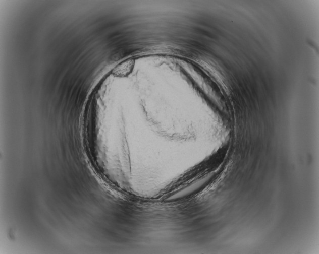 X0000096470949200802211147