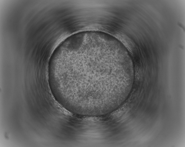 X0000096470950200802211147