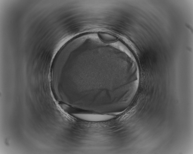 X0000096470951200802211147