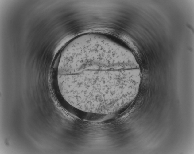 X0000096470952200802211147