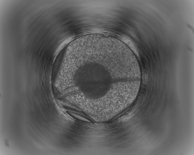 X0000096470954200802211147